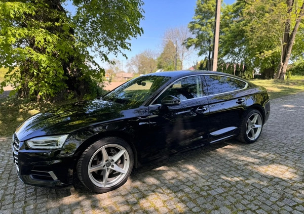 Audi A5 cena 104550 przebieg: 139000, rok produkcji 2017 z Starogard Gdański małe 106